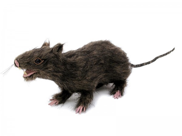 Ratte, lebensechte Optik mit Fell - 30cm - Halloween-Dekoration