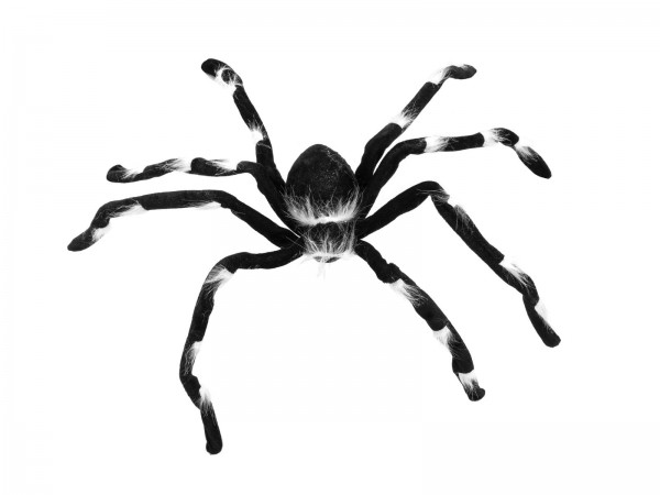 Pelzige Halloween Spinne 70x14x5cm - biegsame Beine, schwarzes Fell mit weißen Büscheln