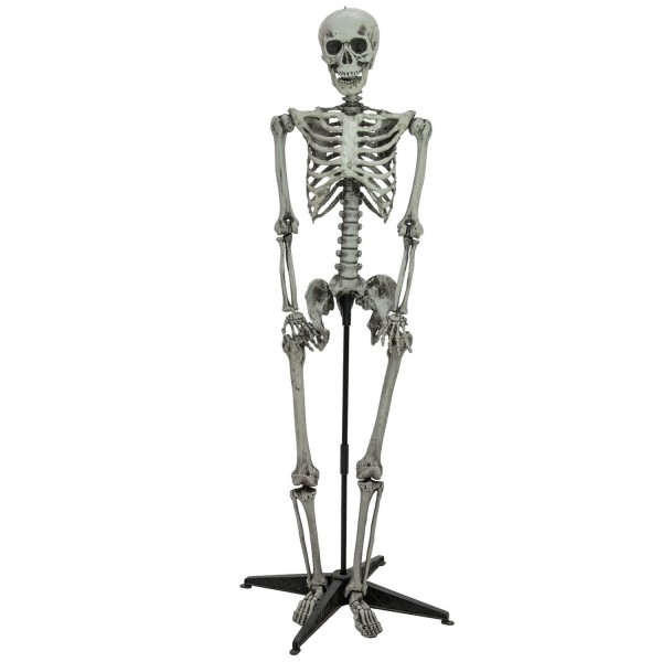 Halloween Skelett stehend, 160cm - Bewegliche Glieder - mit Ständer